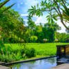 jardin balinais III